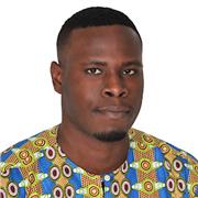 Ingénieur et spécialiste des outils de bureautique ayant exercé uniquement en milieu professionnel.